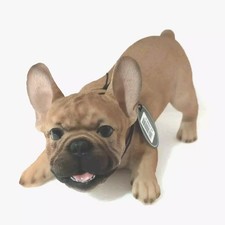 Vivid Arts Active pup Golden