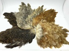 hen capes natural colours for craft fly tying fly fishing