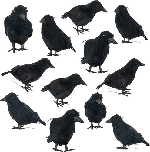 Halloween black feathered - halloween,