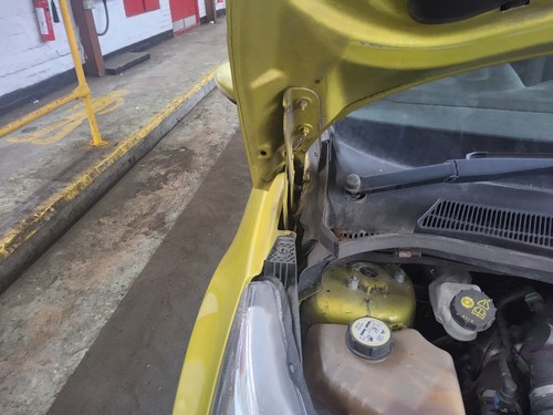 Bonnet hinge ford - bonnet,