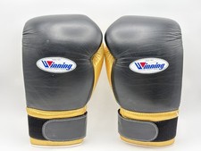 Winning boxing gloves - winning,