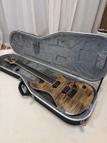 Mayones regius string guitar - 7,