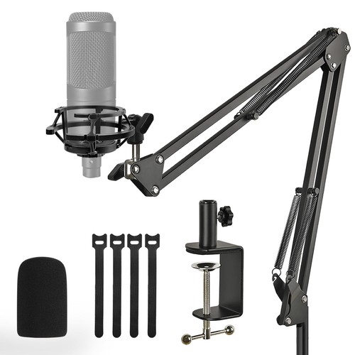 Rigych audio technica - rigych,