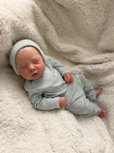 Reborn dustin doll - dustin,