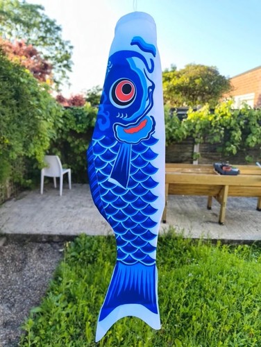 Giant japanese koi carp - carp, fish