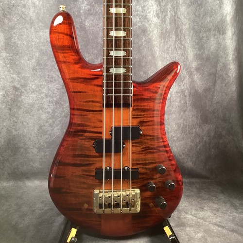 Spector euro ras layer - ras,