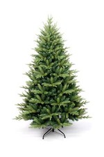 Virginia Spruce Christmas Tree
