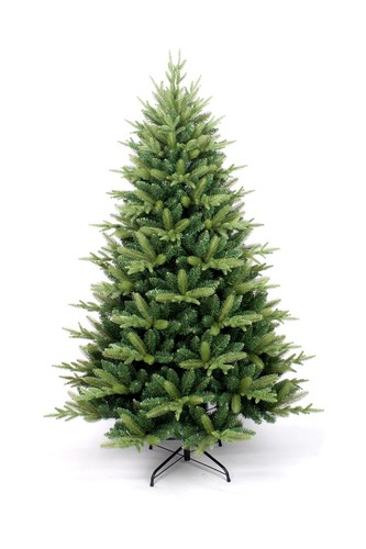 Virginia spruce christmas tree - virginia,