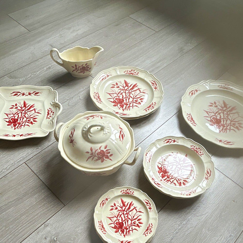 Wedgewood iris williamsburg - iris,