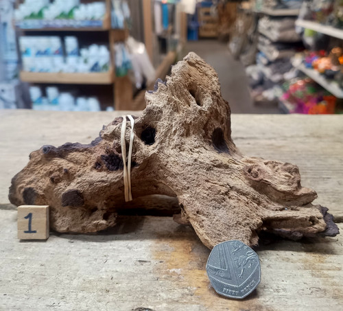 Small mopani wood 27cm - mopani, 17-27cm