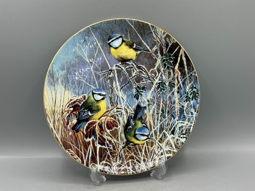 Coalport winter bluetit frosty - bluetit,
