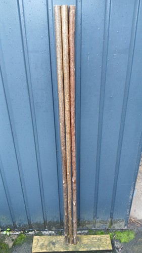Hazel walking stick - hazel,