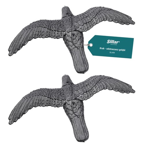 Large raven flight bird - in,