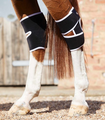 Premier equine magni teque - equine, magni-teque