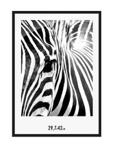 29,7 x 42 cm Black Matt Aluminium Poster Picture Photo Frame A3 Metal