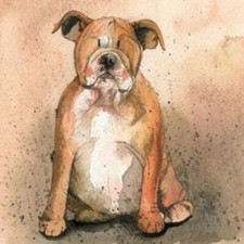 Staffordshire terrier staffie Alex Clark  Card