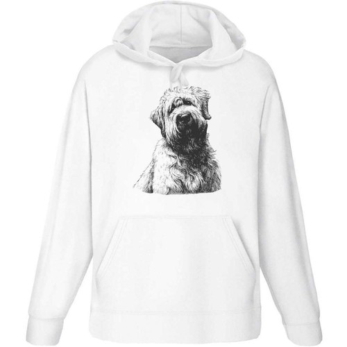 Soft coated wheaten - 'soft,