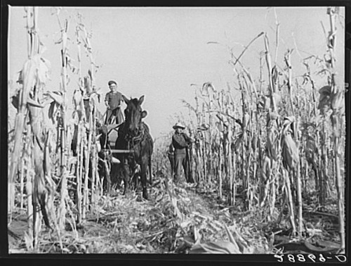 Photo grundy county iowa - county,