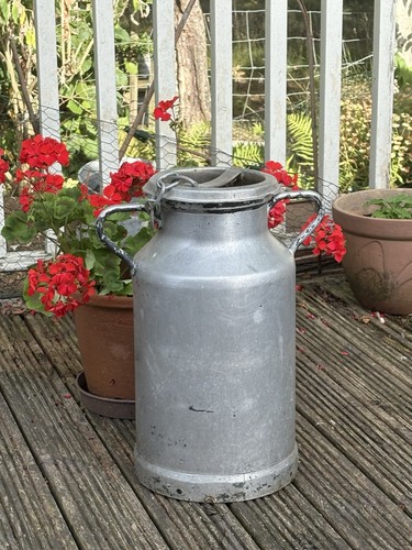 Milk churn - milk,