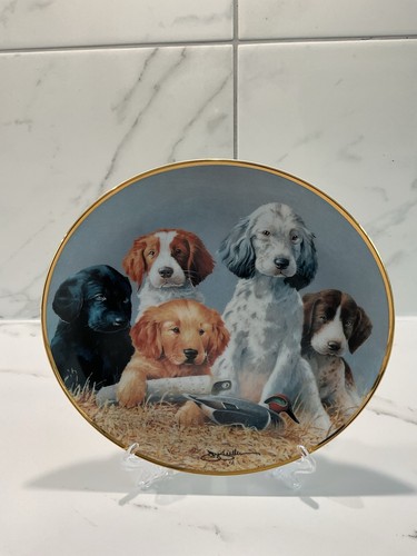 Franklin mint 8 inch - mint,
