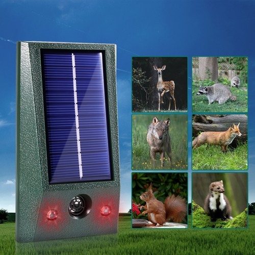 Animal repeller ultrasonic - animal,