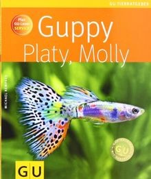 Guppy platy molly plus - guppy,,
