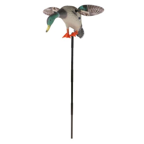 Mallard drake decoys teal - drake,
