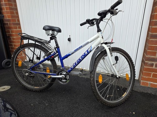 Giant boulder mountain bike