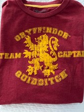 The Wizarding World of Harry