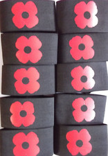 11 x Junior Remembrance Day