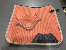 Le Mieux Apricot Dressage