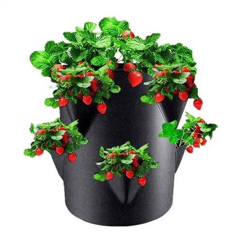 Strawberry planters bags with - strawberry,
