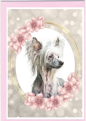 Chinese crested dog - chinese, greetings
