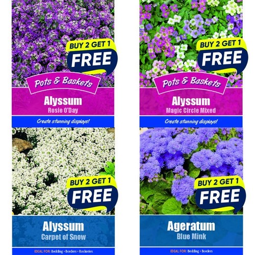 Flower seeds plants - seeds, borders