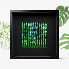 Zeleny Elytra Mosaic Jewel