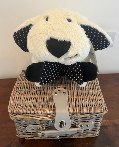 Next puppy dog pyjama case - next,