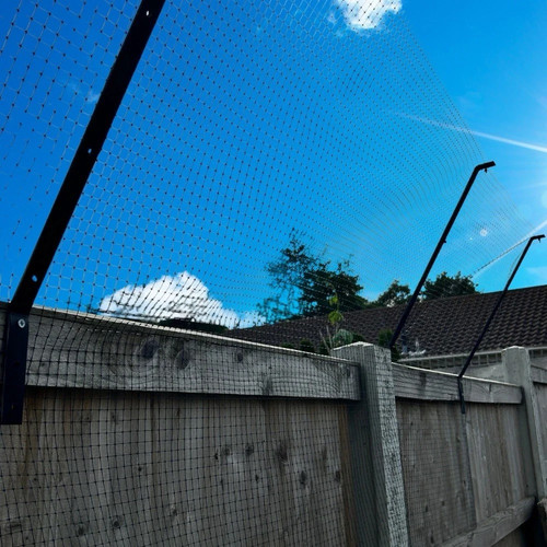 Cat proofing net garden - cat,