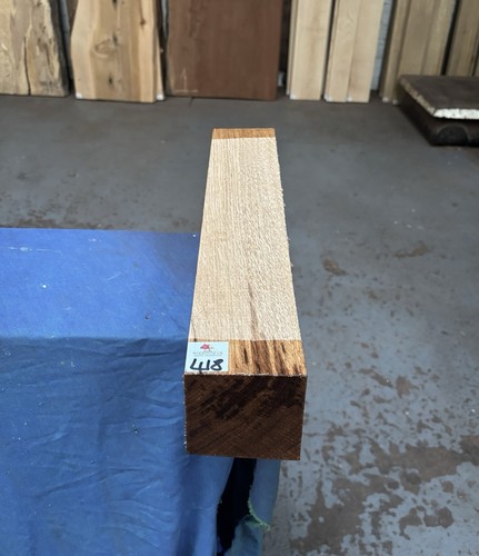 English oak - x,