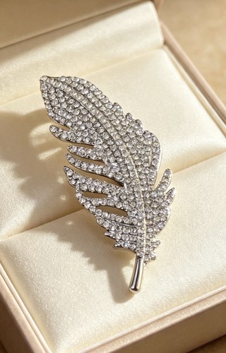 Silver feather brooch with