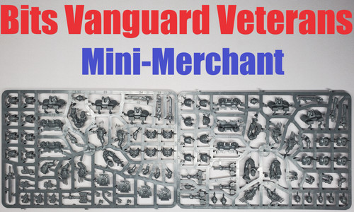 Bits vanguard veterans oop - bits,