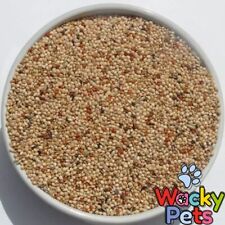 BIRD FINCH SEED Quality food 