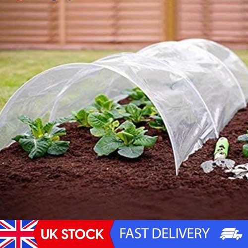 Polytunnel small - polytunnel,