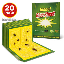 20 Pack Pest Trap Boards