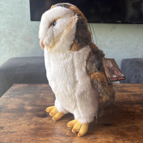 Barn owl fine arts - barn,