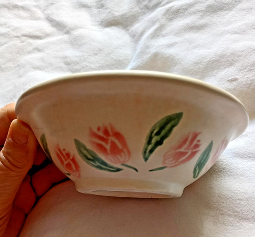 Rustic style bowl decorated