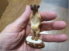 (TNE-MEE-303-A) MEERKAT