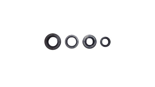 Engine seal kit zs155 - zs155, stomp