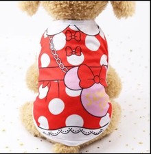 Dog Cat Puppy Kitten Pet