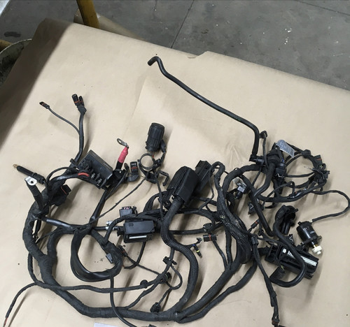 2010 bmw f800st - , harness
