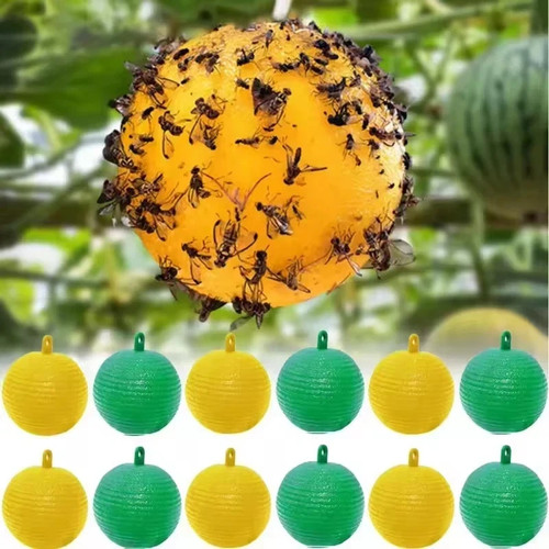 Fruit fly balls - fly,